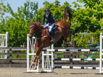 Toby Clapham takes a commanding win in the Equissage Pulse Senior British Novice Second Round at Allens Hill